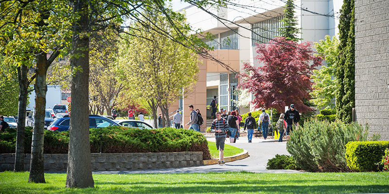 Students walking around outdoors on the SCC campus